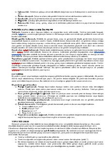 Defter Düzeni